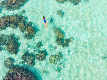 High angle view of man swimming in sea