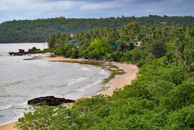 High angle view of trees by sea against sky