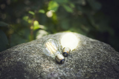 Illuminated light bulbs on rock