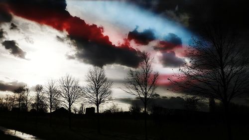 Silhouette trees against sky during sunset