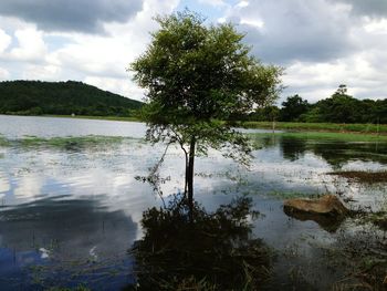 Scenic view of lake against sky