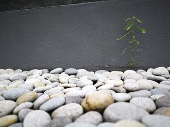 Close-up of pebbles
