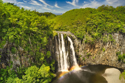 Scenic view of waterfall in forest