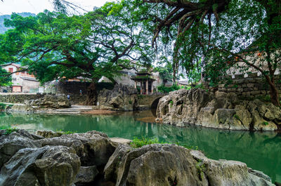 Reflection of buildings and trees in water