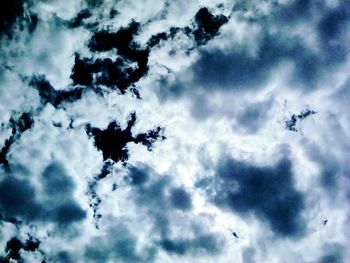 Low angle view of silhouette birds flying in sky