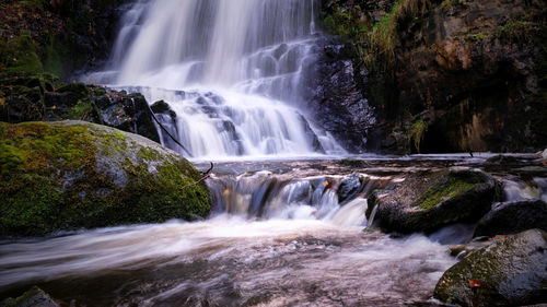 Scenic view of waterfall in forest