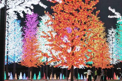 Multi colored flowers in tree