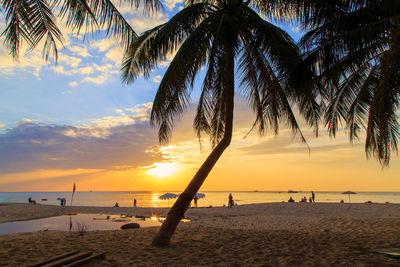 Scenic view of beach during sunset