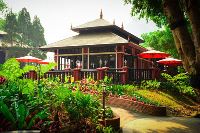 Plants growing in garden