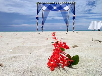 Red umbrella on beach against sky