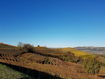 Scenic view of field against clear blue sky