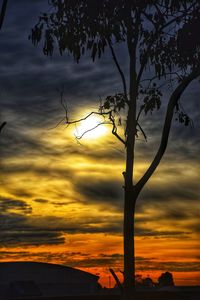 Low angle view of silhouette tree against orange sky
