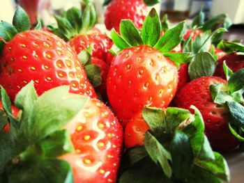 Close-up of strawberries