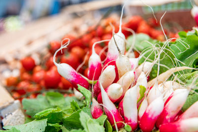 Close-up of fruits for sale in market