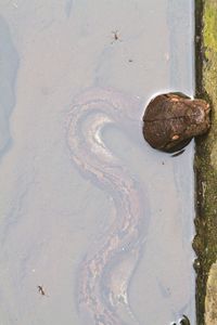 Close-up of rusty metal