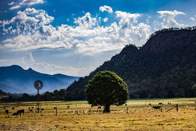 Scenic view of field against sky