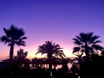 Silhouette palm trees against sky at sunset