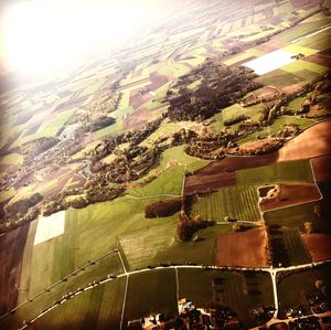 Aerial view of agricultural field