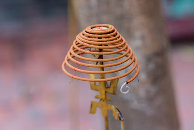 Close-up of spiral outdoors