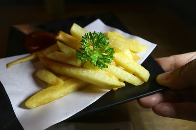 Close-up of person holding food in plate