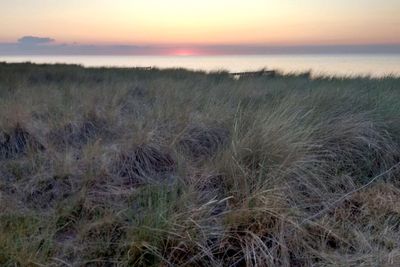 Scenic view of sea during sunset