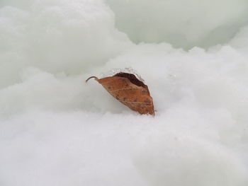 Snow on rusty boat during winter