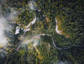 Aerial views with the deep forests covering the carpathians, romania.