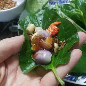 Close-up of hand holding food