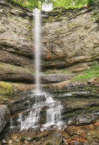 Scenic view of waterfall in forest