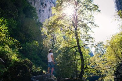 Rear view of man on rock in forest