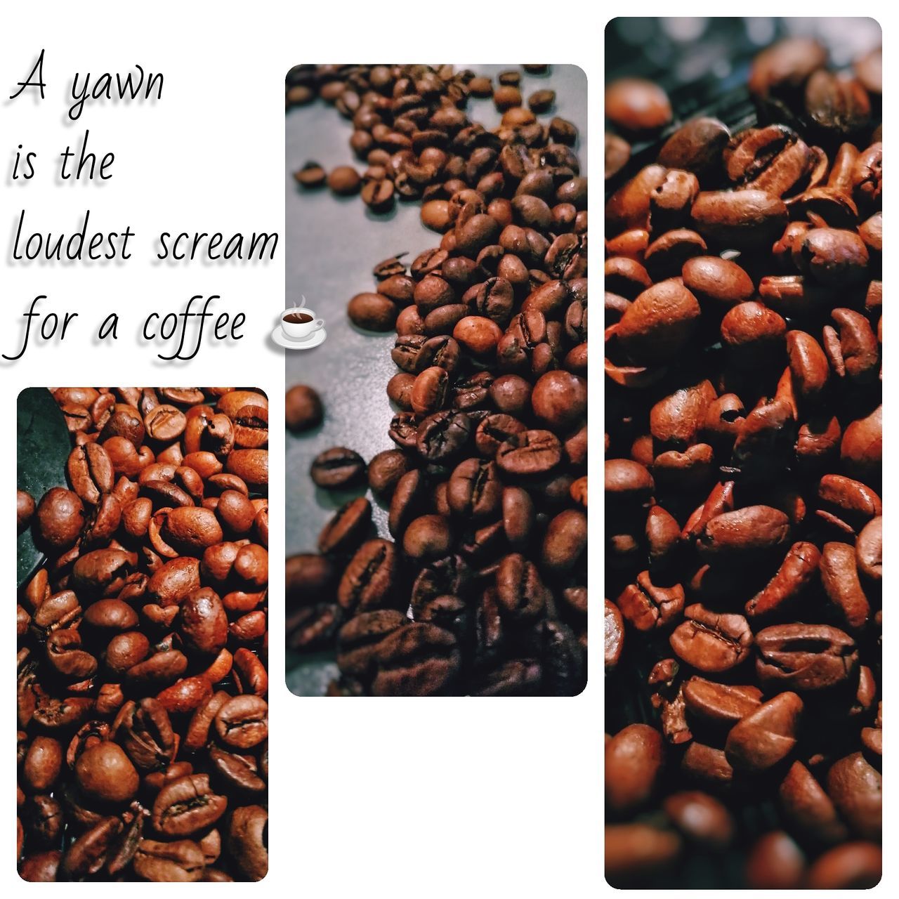 food and drink, food, roasted coffee bean, freshness, coffee, coffee - drink, indoors, brown, still life, coffee bean, large group of objects, choice, abundance, no people, text, variation, close-up, refreshment, drink, roasted, caffeine
