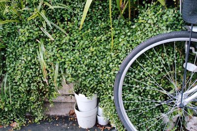 Cropped image bicycle parked by potted plants at backyard
