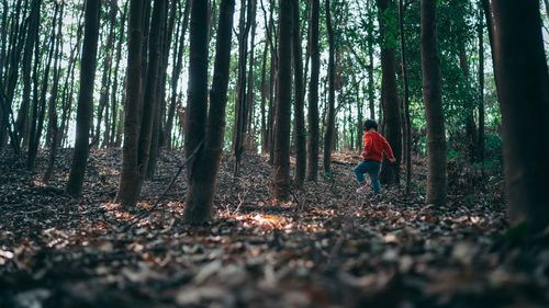 Rear view of girl walking in forest 