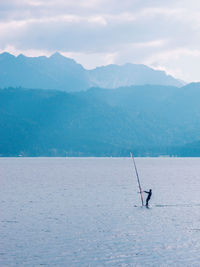 Man windsurfing in sea