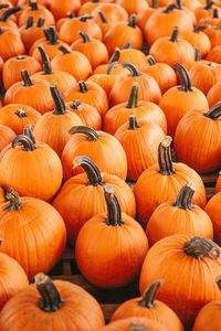 Full frame shot of pumpkins for sale at market