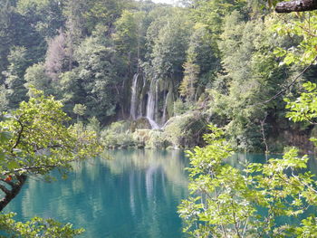 Scenic view of waterfall in forest