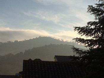 Scenic view of trees against sky