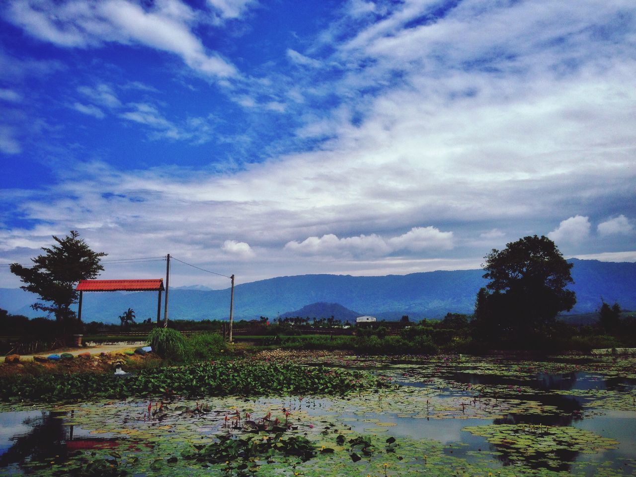 sky, cloud - sky, water, tree, tranquil scene, tranquility, scenics, cloud, beauty in nature, nature, mountain, cloudy, lake, blue, built structure, sea, landscape, building exterior, plant, idyllic