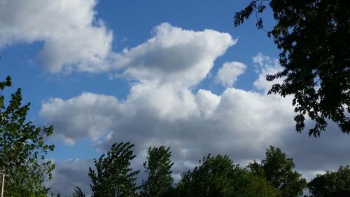 Low angle view of trees against cloudy sky