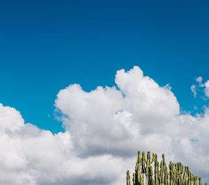 Low angle view of sky