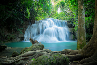 Scenic view of waterfall in forest