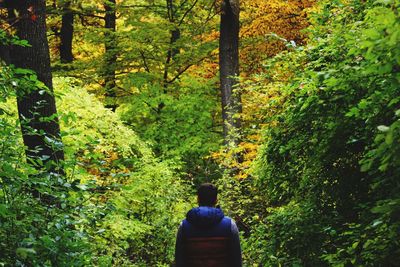Rear view of man and woman in forest