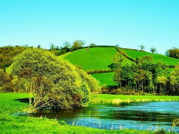 Scenic view of landscape against clear sky