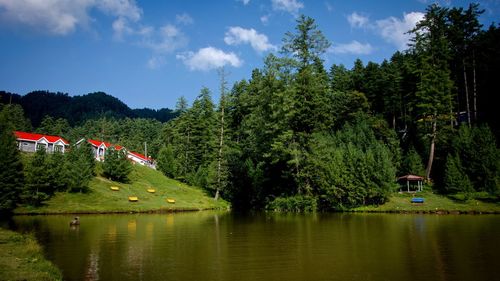 Banjosa lake amidst trees against sky