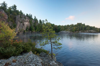 Scenic view of lake surrounded by trees