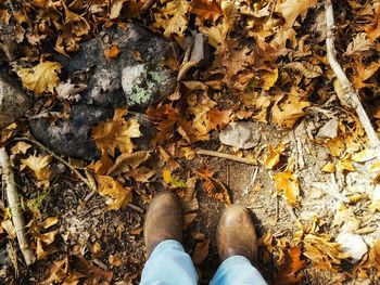 Low section of man standing on fallen autumn leaves
