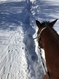 Horse cart on snow against sky