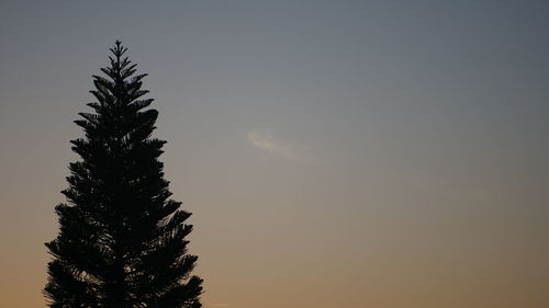 High section of silhouette tree against sky