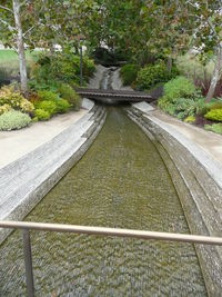 Walkway amidst plants and trees