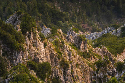 Panoramic view of rocky mountains